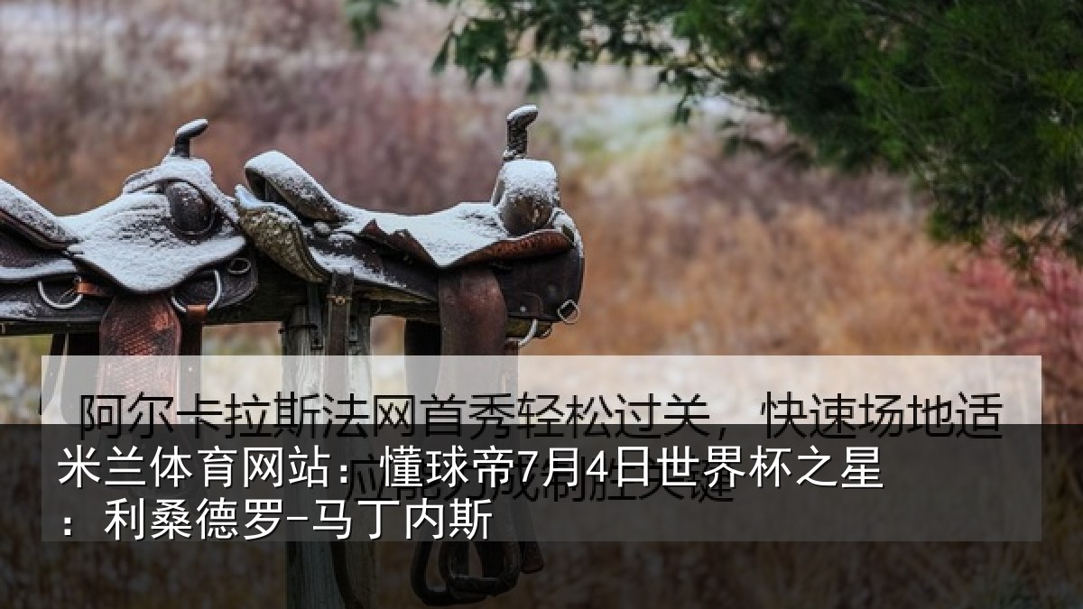 米兰体育网站：懂球相关情况：利桑德罗-马丁内斯